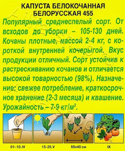 Капуста б/к Белорусская 455 0,5г (Аэлита)