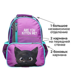 Рюкзак школьный, эргономичная спинка, 37×26×13 см «Котик чёрный»