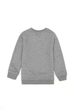 U. S. Polo Assn / Базовый свитшот серого меланжевого цвета для мальчика - U.s. polo assn фото 2