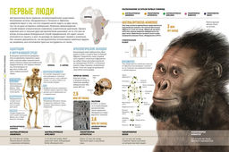 Тайны тела человека. Большая иллюстрированная энциклопедия. Сориано Д. - Махаон фото 3