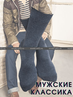 Цена за 10 пар. Легион носки мужские АССОРТИ 27  фото 8