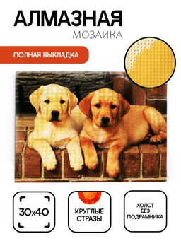 Алмазная мозаика без подрамника "Два лабрадора" , 30х40 см