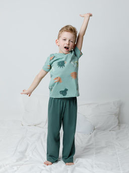 К 1646/динозавры,зеленый пижама для мал