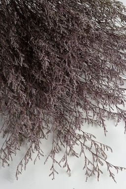 Сухоцветы декоративные (SF-2836) светло-сиреневый