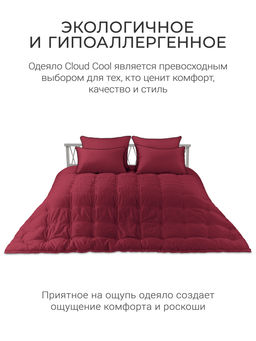 Одеяло Cloud Wine 175х200 теплое 300г/м2 ЕС-5827 - Espera фото 2