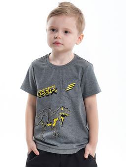 Футболка с принтом UD 4672 графит меланж