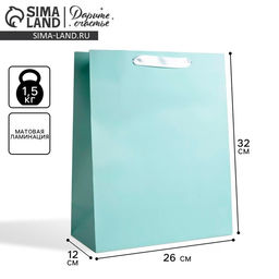 Цена за 2 шт. Пакет подарочный, упаковка «Мятный», M 25.5×30×9 см