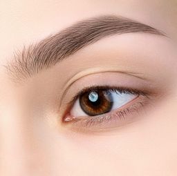 RELOUIS Тени для бровей PRO Brow Powder тон 01 Blonde