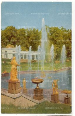 Открытка Ленинград  Петродворец. Фонтан Самсон и Водопадная лестница