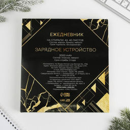Подарочный набор: ежедневник, зарядное устройство, мод.РВ-01, «Ты - настояящий мужчина», 22.7×24.5 см.