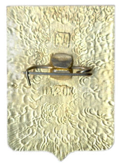 Значок Борисоглебск