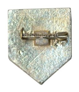 Значок Сосновка