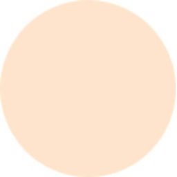 Concealing Powderfoundation Spf17 \ Concealing Powderfoundation Spf17 (Молочная бледность) - Anna lotan фото 3