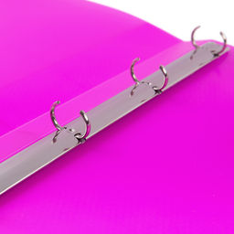 Expert Complete PRISMA NEON Папка на 4 О-кольцах A4 700 мкм 25 мм эффект 3D 4 шт. d - 17 мм пурпурный EC211400022