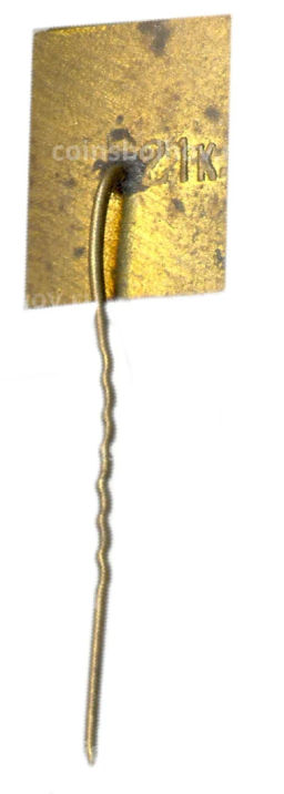 Значок Тракай