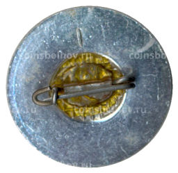 Значок Подсадам китайский чайный дом