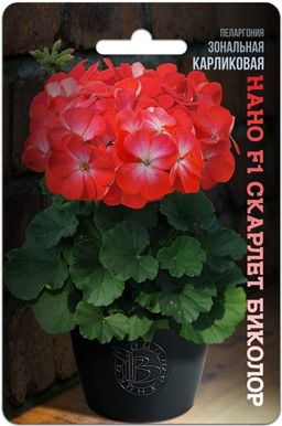 Пеларгония зональная карликовая Нано F1 Скарлет Биколор