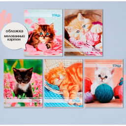Комплект тетрадей из 5 штук, 36 листов в клетку Calligrata "Котята", обложка мелованный картон, блок офсет