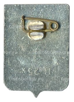 Значок Кострома