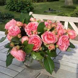 Роза Чиппендейл