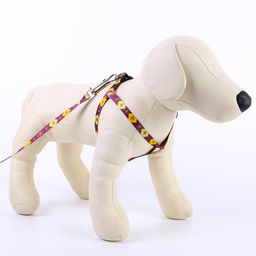 Комплект Пчёлы, шлейка 24-36 см, поводок 120х1 см - Пушистое счастье фото 4