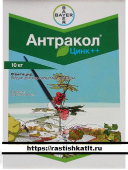 Антракол фунгицид, фасовка