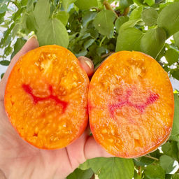 Его Величество Бабушка НОВИНКА 2025 года!