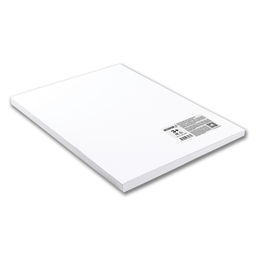 Светоч Картон белый К301 200 г/м2 A4 20.5 х 29 см 30 л. 26 шт. 01892  фото 4