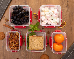 Контейнер 1,7л BATTERFLY BRIGHT гермет красный