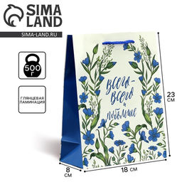 Цена за 2 шт. Пакет подарочный ламинированный, упаковка, «Всего-всего», MS 18 х 23 х 8 см