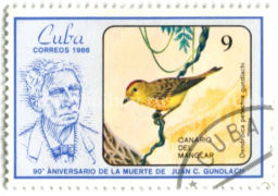 Марка Золотистый лесной певун 1986 год Куба