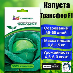 Капуста белокочанная раннеспелая Трансфер - Партнер фото 7