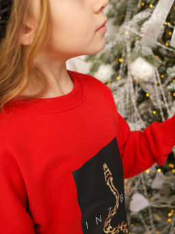 Свитшот MIRACLE красный, ПИТОН - Inzibe фото 4