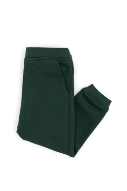 Темно-зеленые спортивные штаны для маленьких мальчиков Неожиданная скидка в корзине - U.s. polo assn фото 5