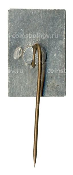 Значок Шушенское