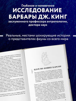 Как животные скорбят. Что чувствуют кошки, слоны, дельфины и другие, теряя близких