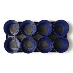 Комплект для рассады 41х20х10,5см (8 горшков со съемным дном 500мл, поддон) (пластик) цветной