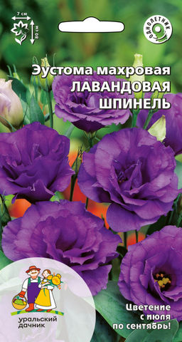 Эустома махровая (лизантус) ЛАВАНДОВАЯ ШПИНЕЛЬ