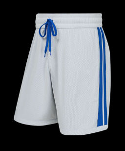 Шорты двухсторонние JOGEL DIVISION PerFormDRY Double-side Shorts, синий/белый  фото 6