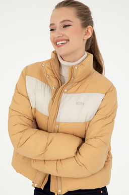 Kad_n Camel Mont