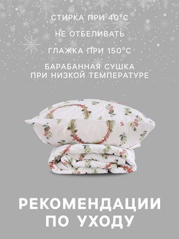 Постельное бельё 1.5-спальное Этель. Снегири (вид 2), поплин