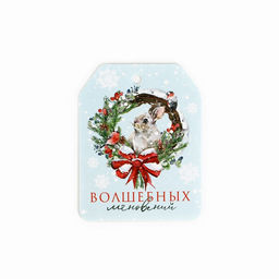 Цена за 10 шт. Шильдик новогодний на подарок «Верь в чудеса», набор 6 штук, 16×24 см
