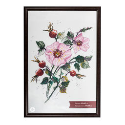 Рамка Gamma ПРК-22 40 х 60 см пластик. с оргстеклом венге