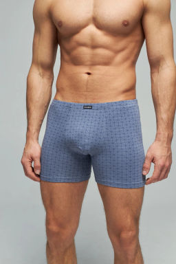 Трусы мужские боксеры Rogers 8703 хлопок, эластан размеры M, L, XL, 2XL  фото 6