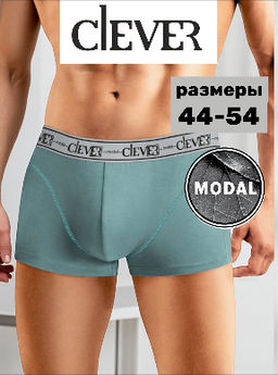 Трусы мужские шорты МОДАЛ - Clever wear фото 13