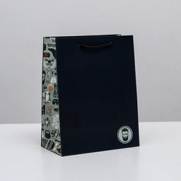 Пакет ламинированный вертикальный Ты лучший, MS 18 23 10 см