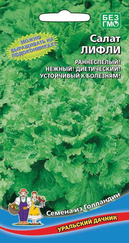 Салат ЛИФЛИ  Можно выращивать на подоконнике! Нежный! Диетический! Устойчив к болезням!