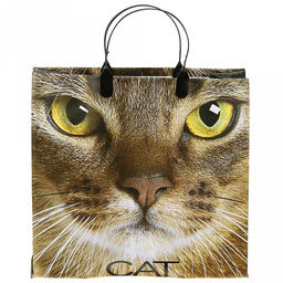 Пакет подарочный мягкий пластик с пластиковой ручкой 30х30см "Кэт", 150 мкм, ламинированный (Россия)