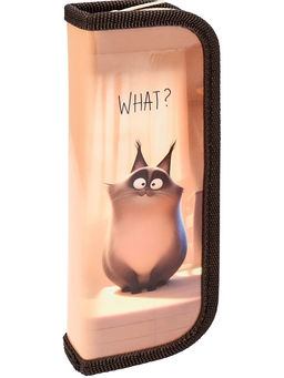 Цена за 2 шт. Пенал 1 отд. 190*65мм, Profit "Озадаченный котик" (ПН-8081) ламинация