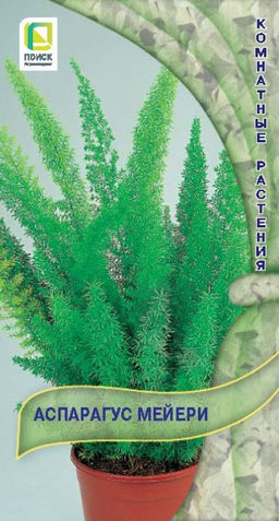 Аспарагус (Спаржа) Мейери (ЦВ) (К) 3шт. - Поиск фото 2